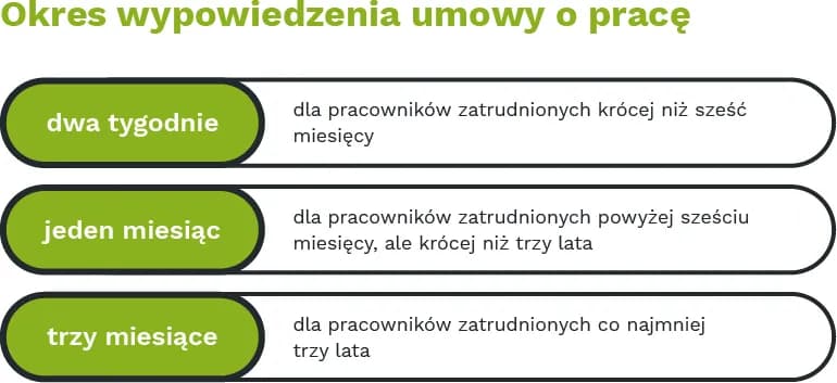 Staż a umowa o pracę: kluczowe różnice i Twoje prawa