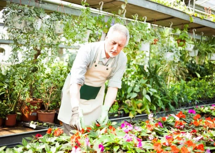 Emeryt na etacie: składki ZUS i PIT. Czy można dorabiać bez limitów?