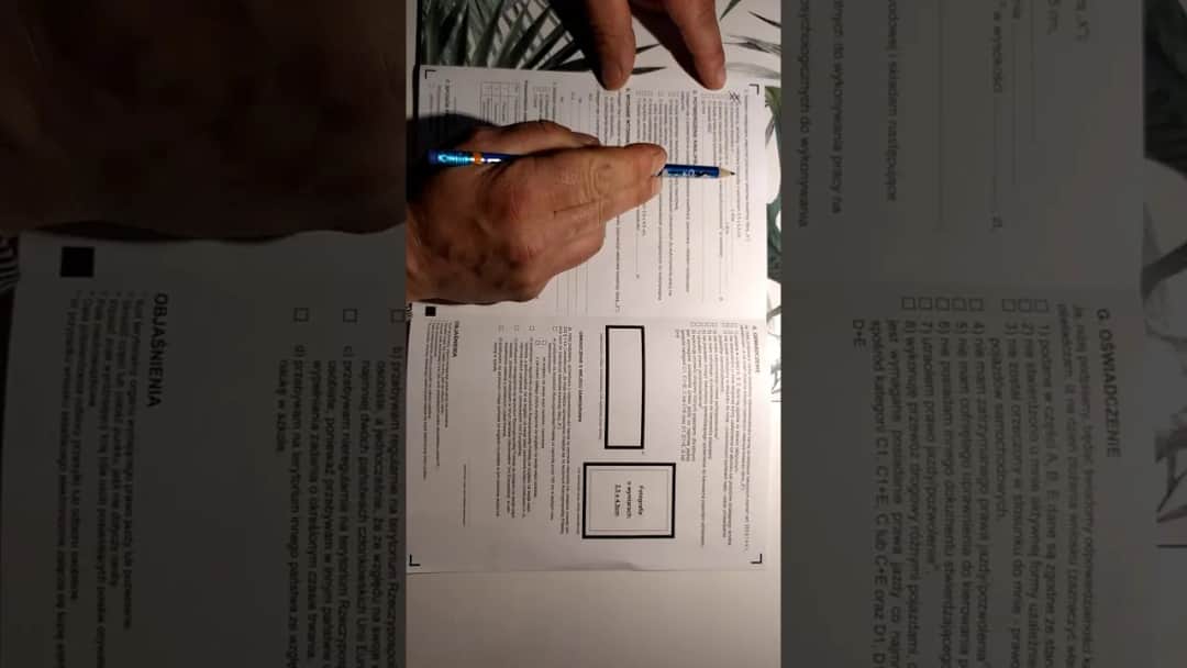 Jak wypełnić oświadczenie kierowcy? Poradnik krok po kroku