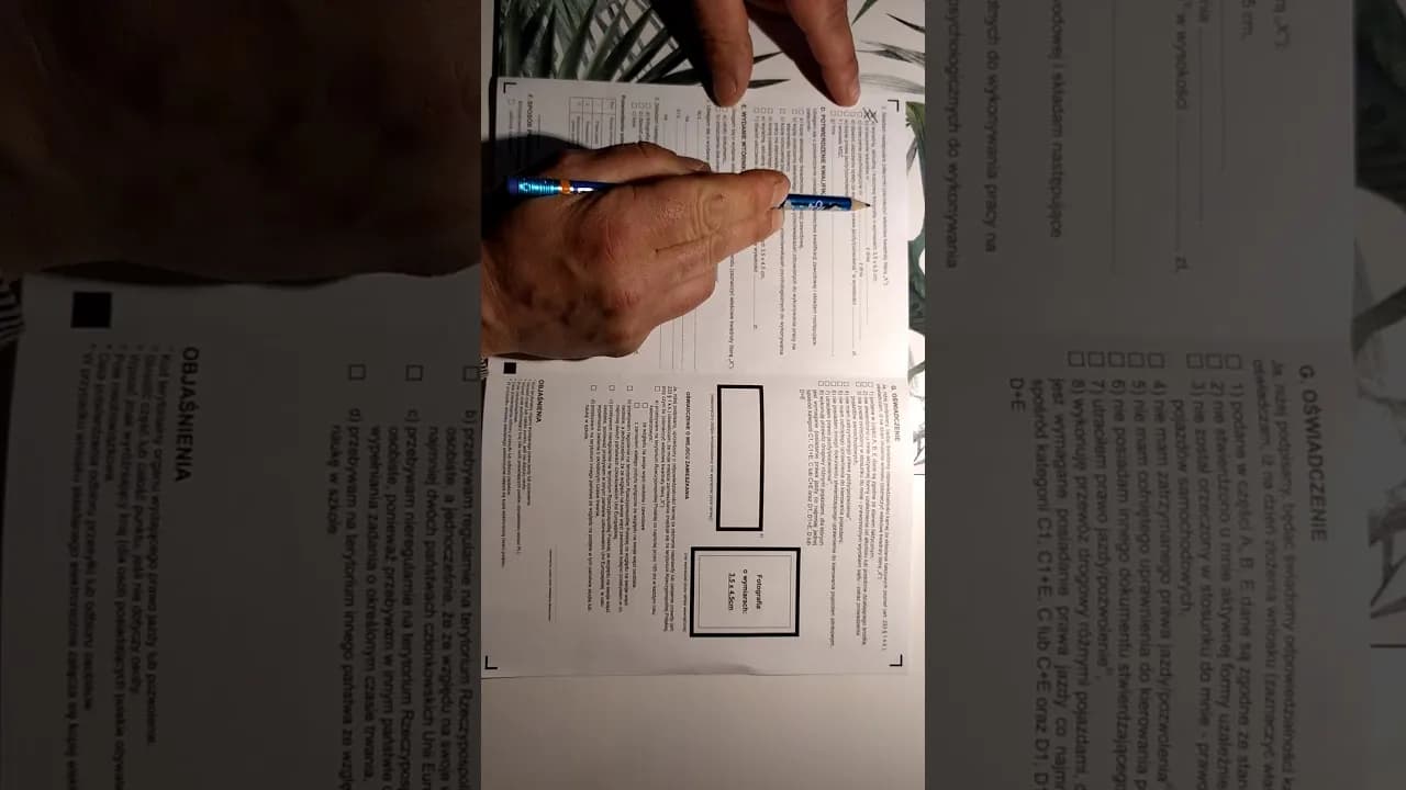 Jak wypełnić oświadczenie kierowcy? Poradnik krok po kroku